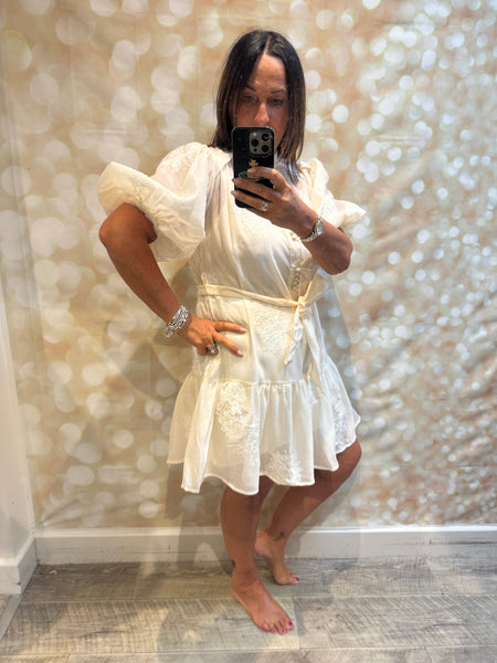 Silky Sheer Applique Dress