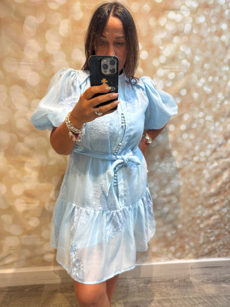Silky Sheer Applique Dress