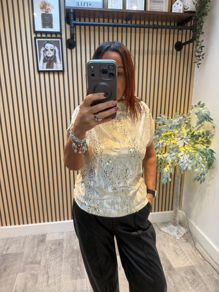 Velour / Sequin Slash Neck Top