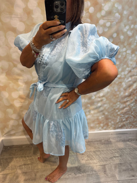 Silky Sheer Applique Dress