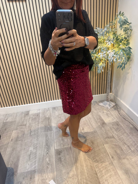 Studio Velour/Sequin Mini  Skirt