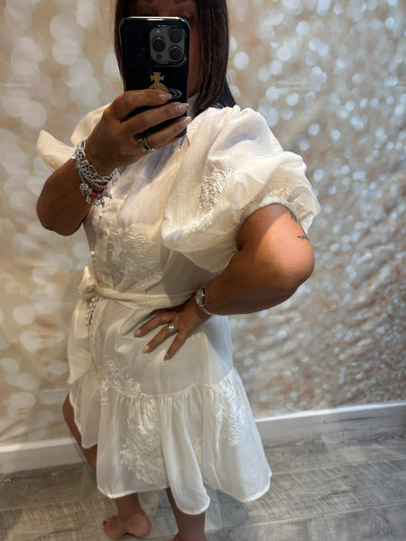 Silky Sheer Applique Dress
