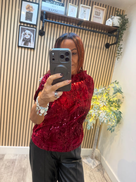 Velour / Sequin Slash Neck Top