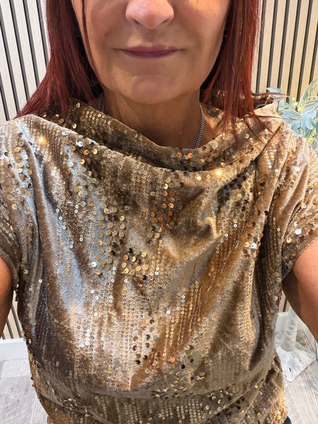 Velour / Sequin Slash Neck Top