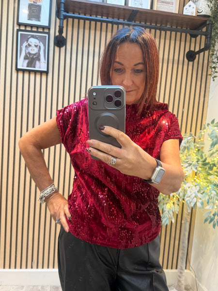 Velour / Sequin Slash Neck Top