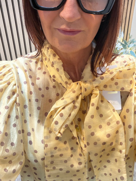 Silky sheer Polka Dot Puff sleeve blouse
