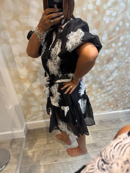 Silky Sheer Applique Dress