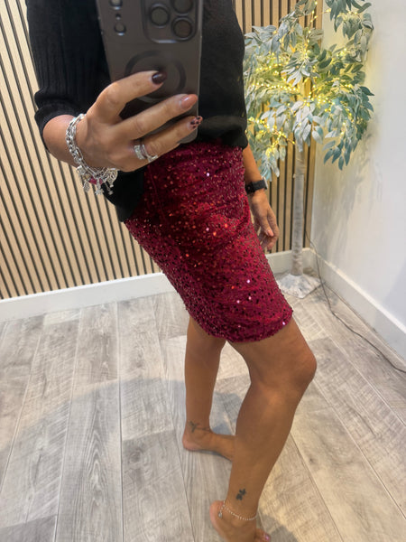 Studio Velour/Sequin Mini  Skirt