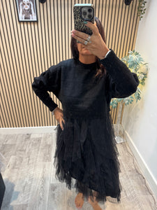 2 Piece Ruffle Tulle Dress/Jumper Set