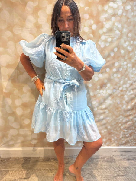 Silky Sheer Applique Dress