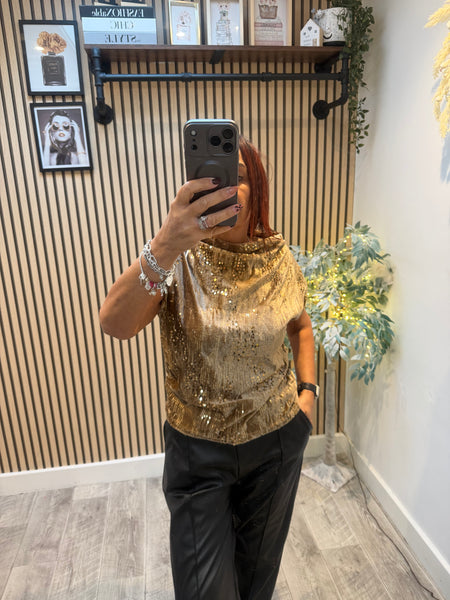 Velour / Sequin Slash Neck Top