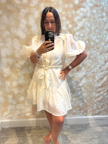 Silky Sheer Applique Dress