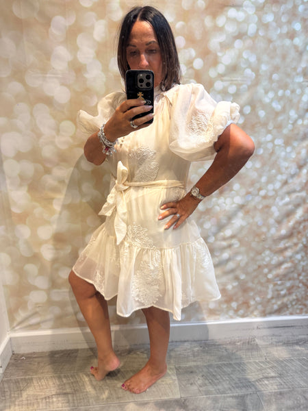 Silky Sheer Applique Dress