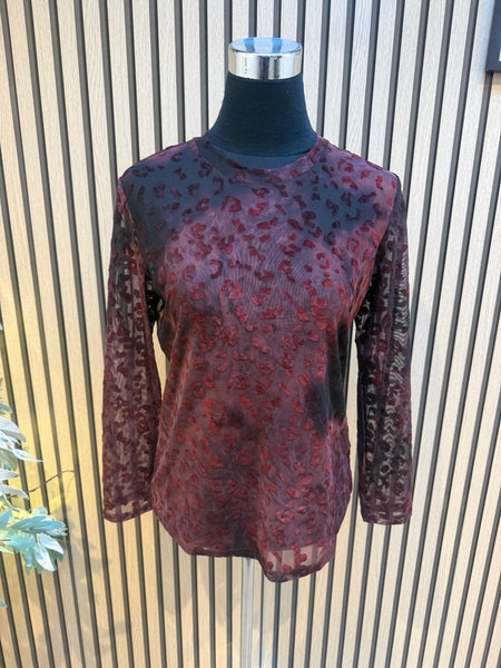 Studio Sheer Layering Top