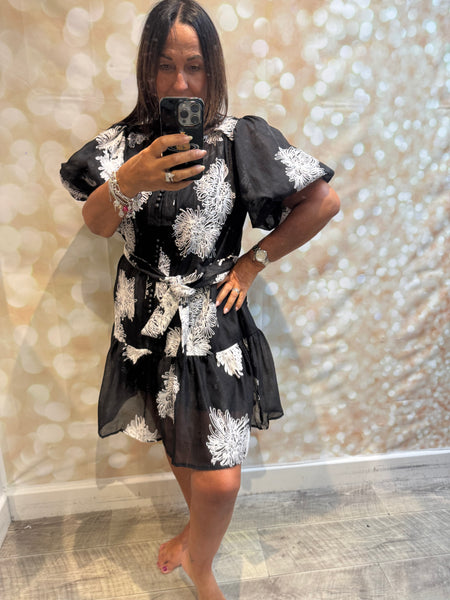 Silky Sheer Applique Dress