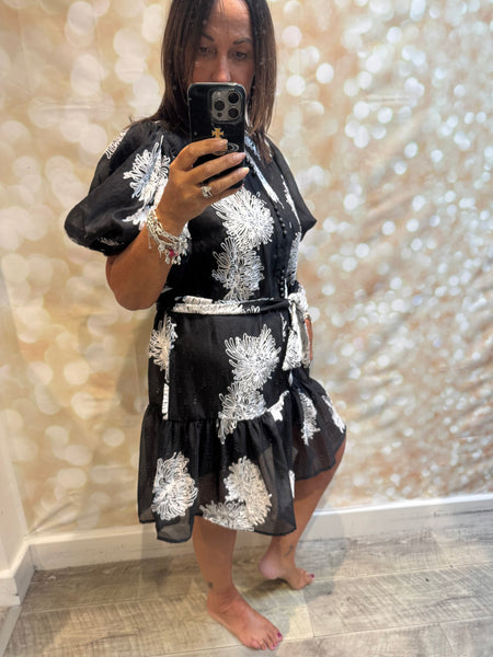 Silky Sheer Applique Dress