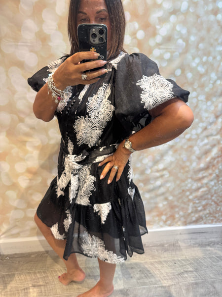 Silky Sheer Applique Dress