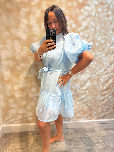 Silky Sheer Applique Dress