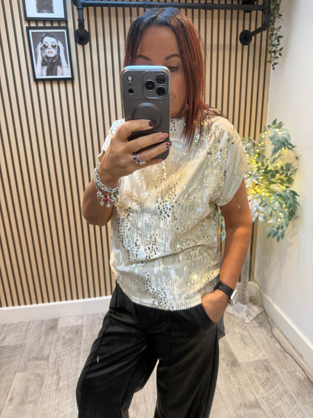 Velour / Sequin Slash Neck Top