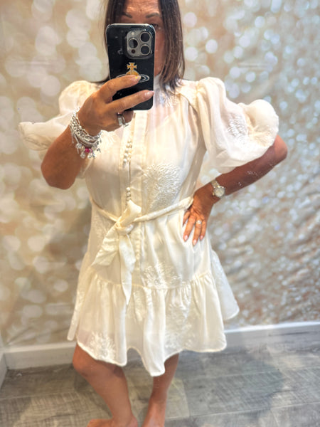 Silky Sheer Applique Dress