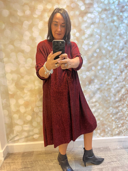 Curve Glitter Gathered Front Sparkle Dress