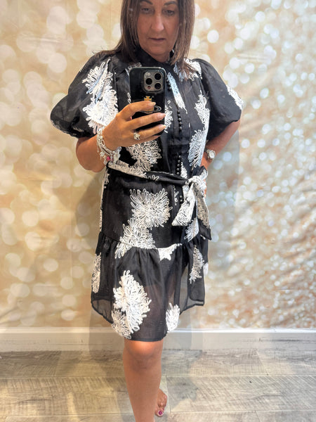 Silky Sheer Applique Dress