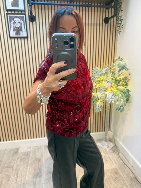 Velour / Sequin Slash Neck Top