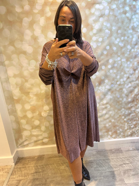 Curve Glitter Gathered Front Sparkle Dress