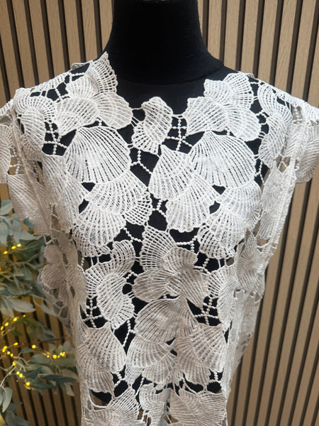 Shell Cut Out Top