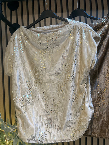 Velour / Sequin Slash Neck Top