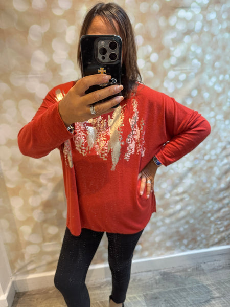 Soft touch leopard/metallic Jumper