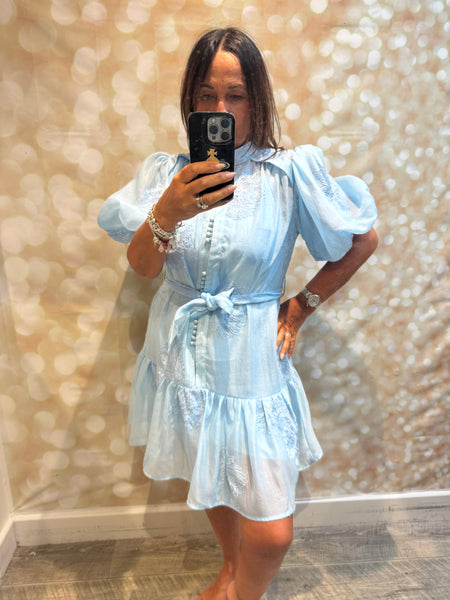 Silky Sheer Applique Dress