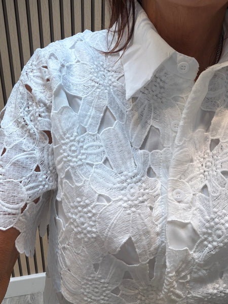 Lace 2 Piece Palazzo Trouser / Blouse  set