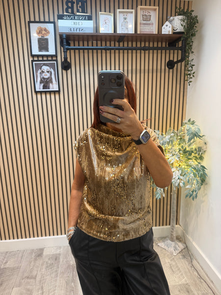 Velour / Sequin Slash Neck Top
